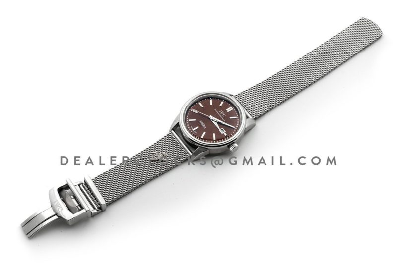 Ingenieur Automatic Limited Edition Vintage 2012 IW323311