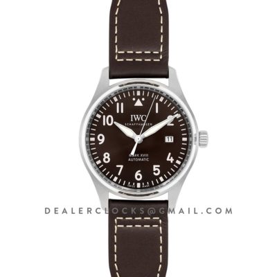 Pilot's Watch Mark XVIII (Antoine De Saint Exupery) IW327003 Brown Dial on Steel Bracelet