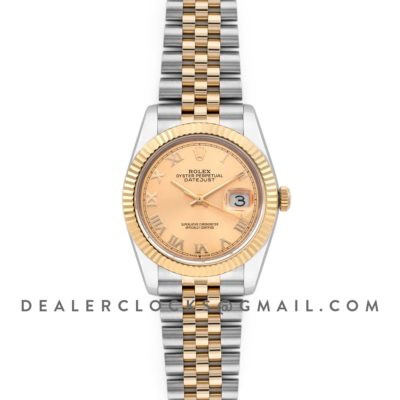 Datejust 36 126283RBR Champagne Dial in Yellow Gold and Steel with Roman Numerals Markers